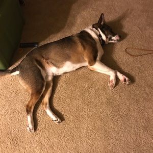 Meet your Posher, Audrey